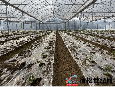 微信图片_20220309113818.png