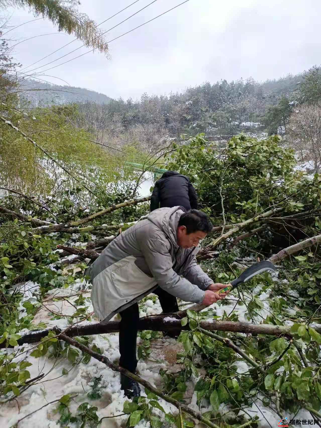 微信图片_20220314172715.jpg