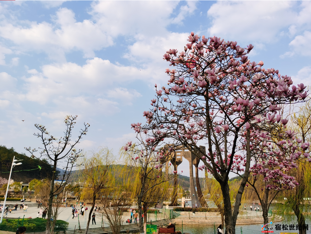 微信图片_20220315140552.png