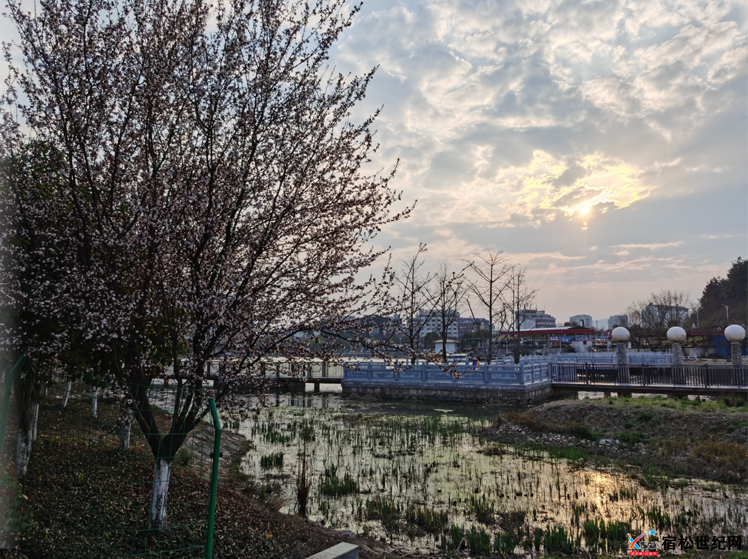 微信图片_20220315140613.png
