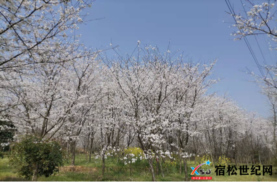 微信图片_20220316162534.png
