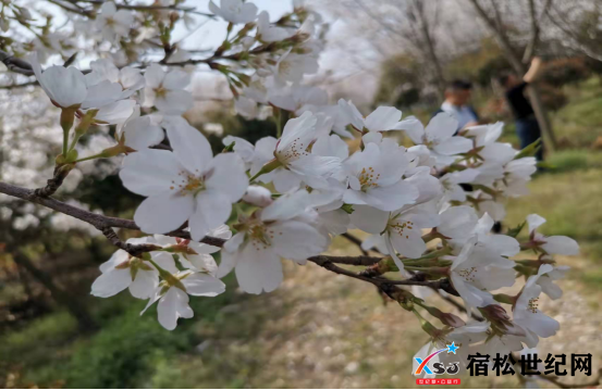 微信图片_20220316162546.png