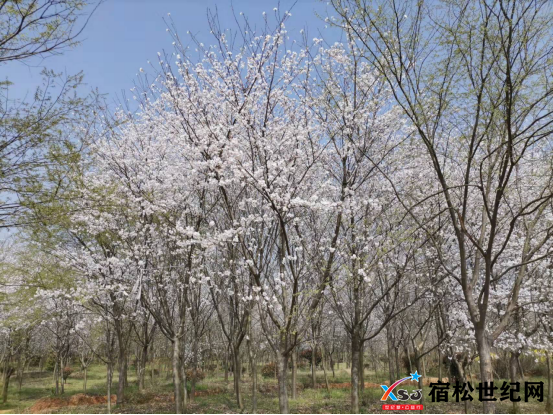 微信图片_20220316162543.png