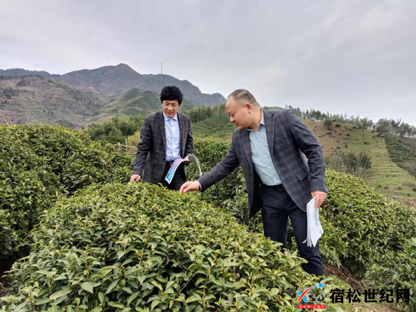 北浴乡：追梦深山践初心.png