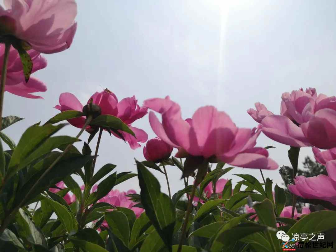 微信图片_20220420090141.jpg