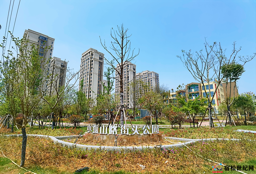 微信图片_20220424164909.png