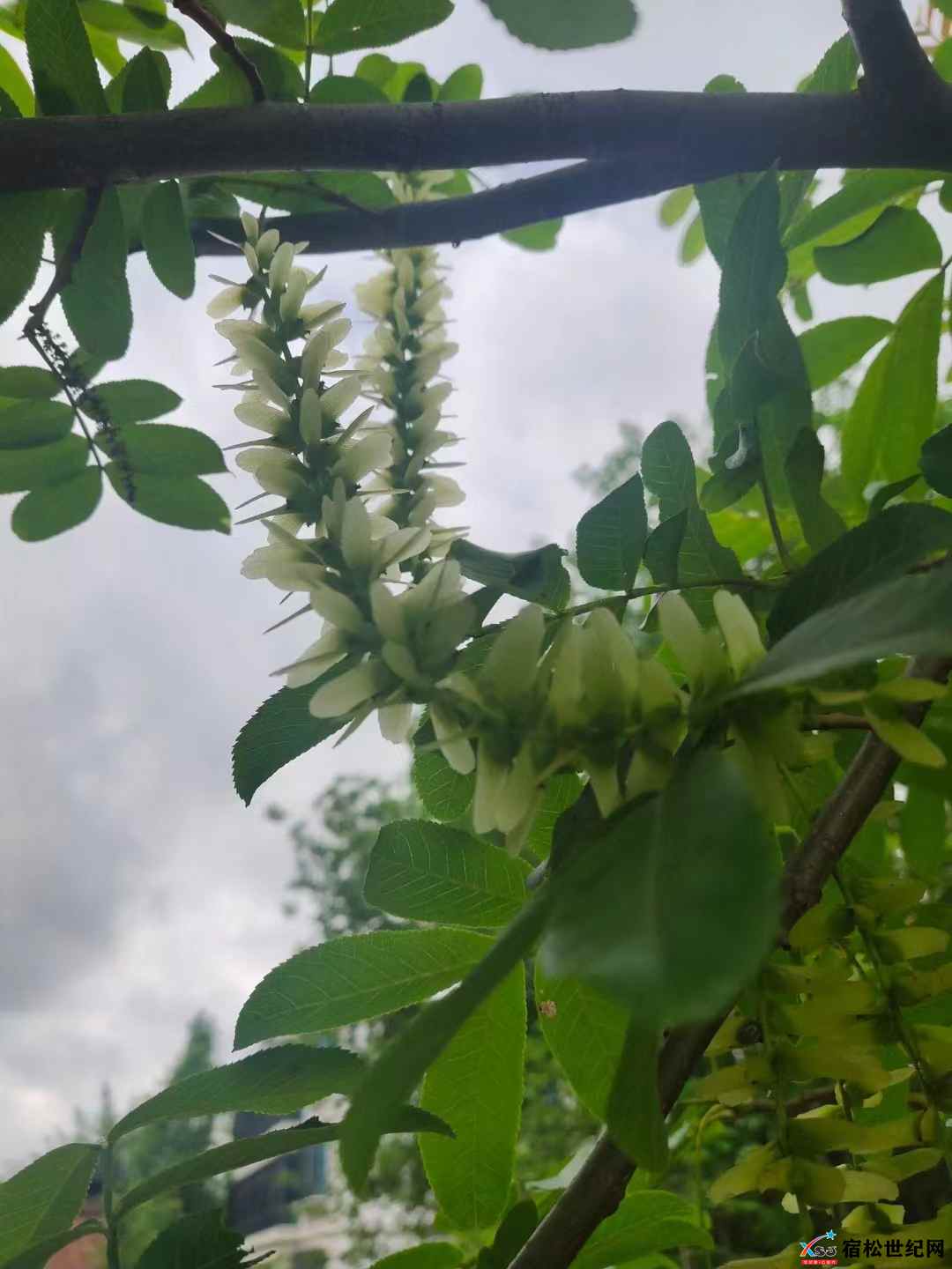 微信图片_20220428065020.jpg
