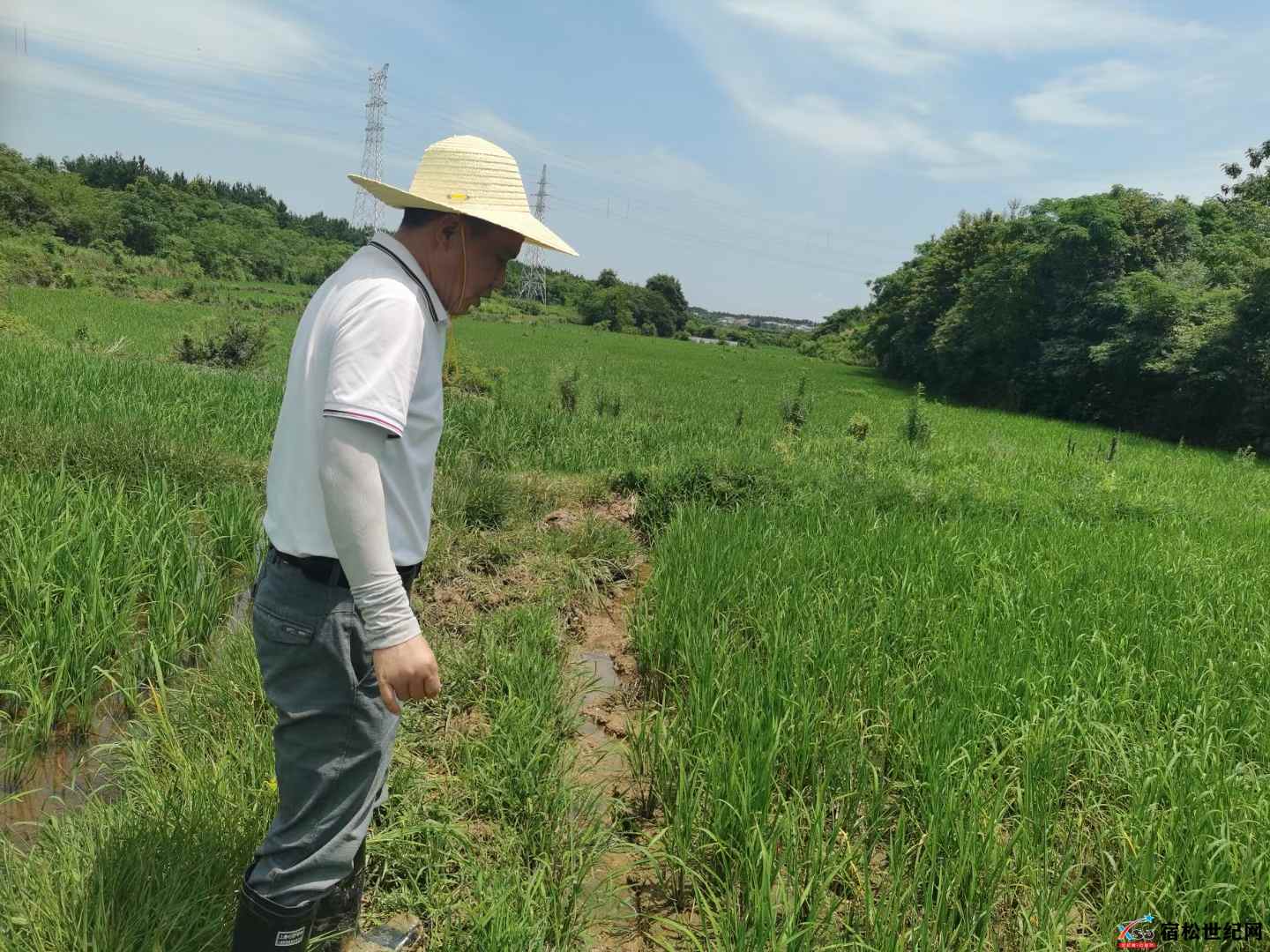 微信图片_20220703090414.jpg