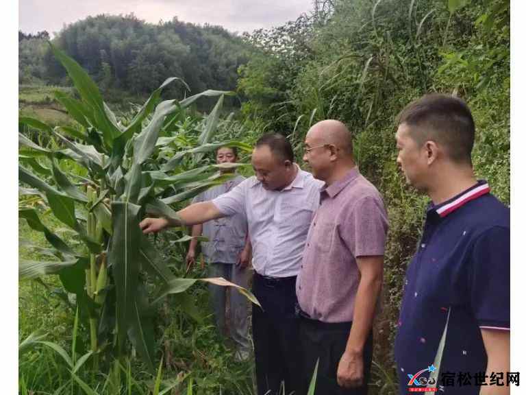 微信图片_20220804101732.jpg