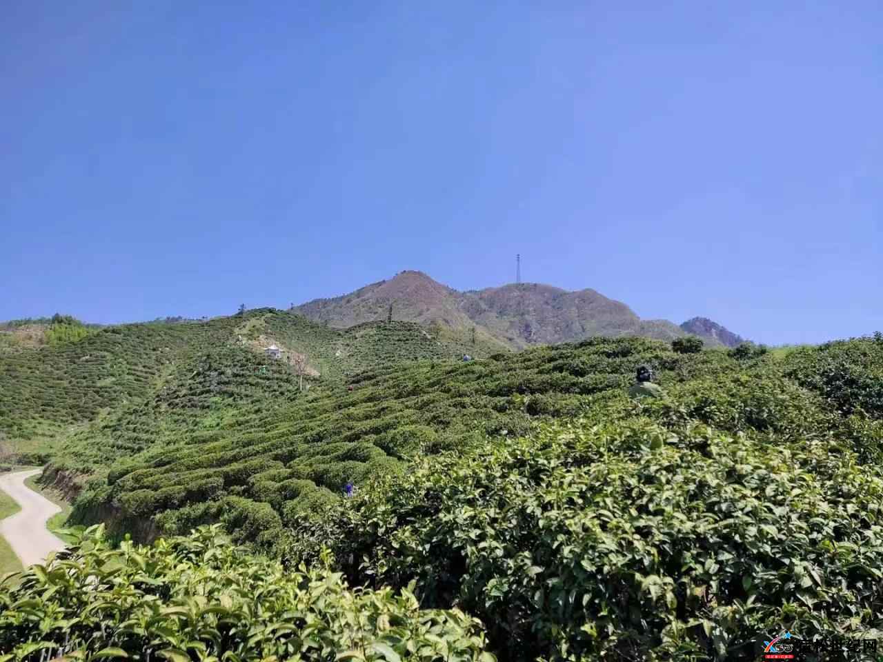 微信图片_20220807102214.jpg