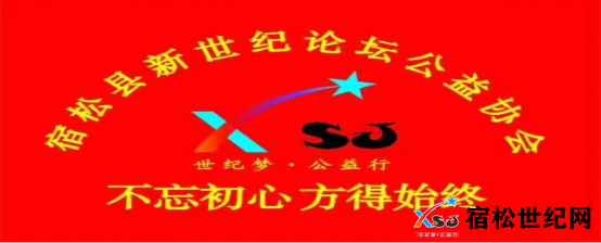 宿松公益程岭联络站开展疫情防控活动 (7).png