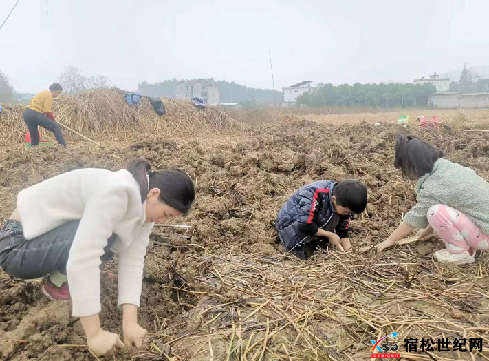微信图片_20230130194430.png