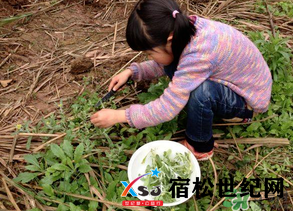 微信图片_20230320171256.png