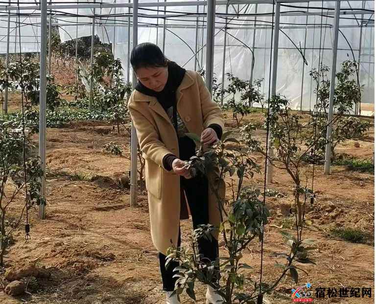 微信图片_20230329231505.jpg
