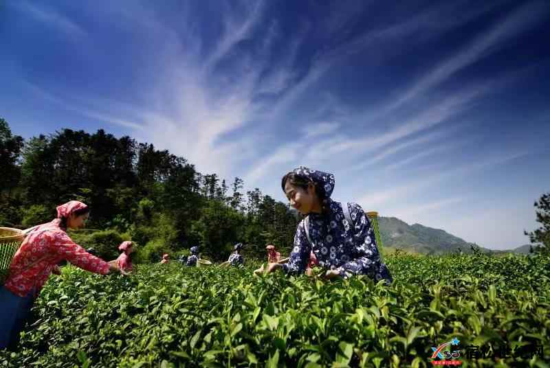 微信图片_20230404114458.jpg