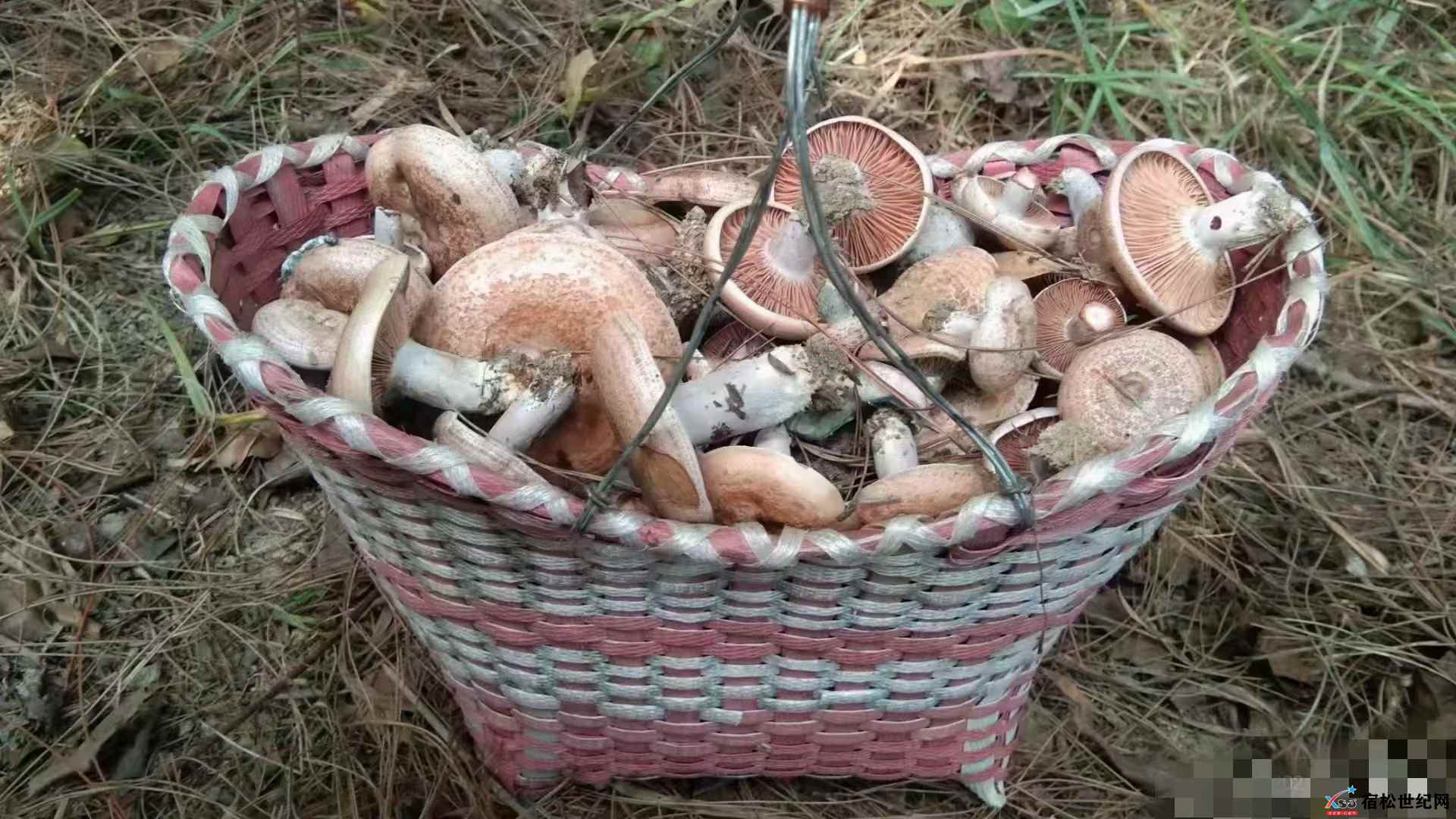 微信图片_20230407090042.jpg