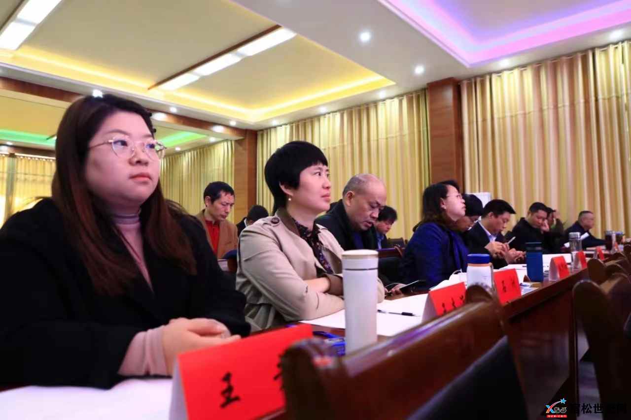 宿松县作家协会第七届会员代表大会隆重召开 (7).jpg
