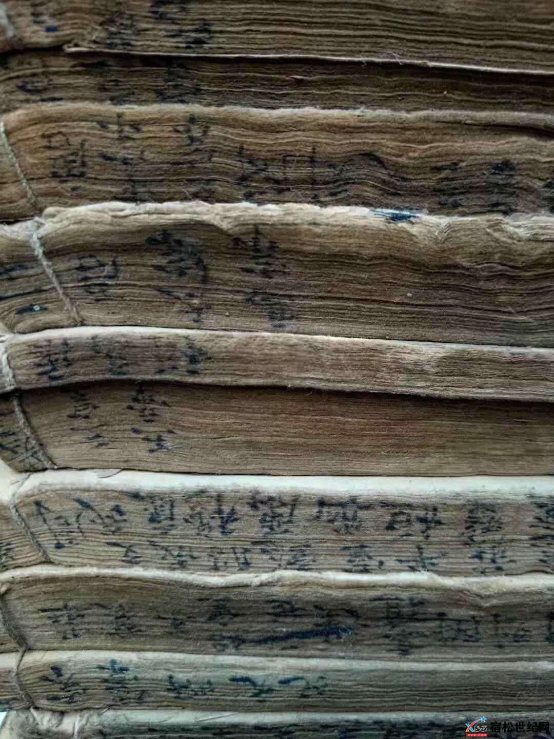 微信图片_20230410084142.jpg