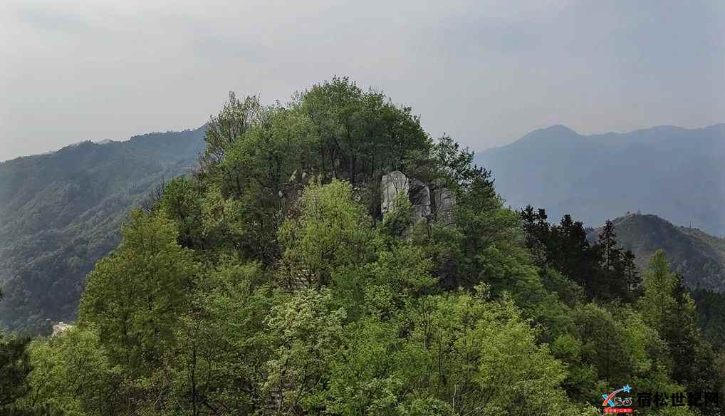 微信图片_20230413100439.jpg
