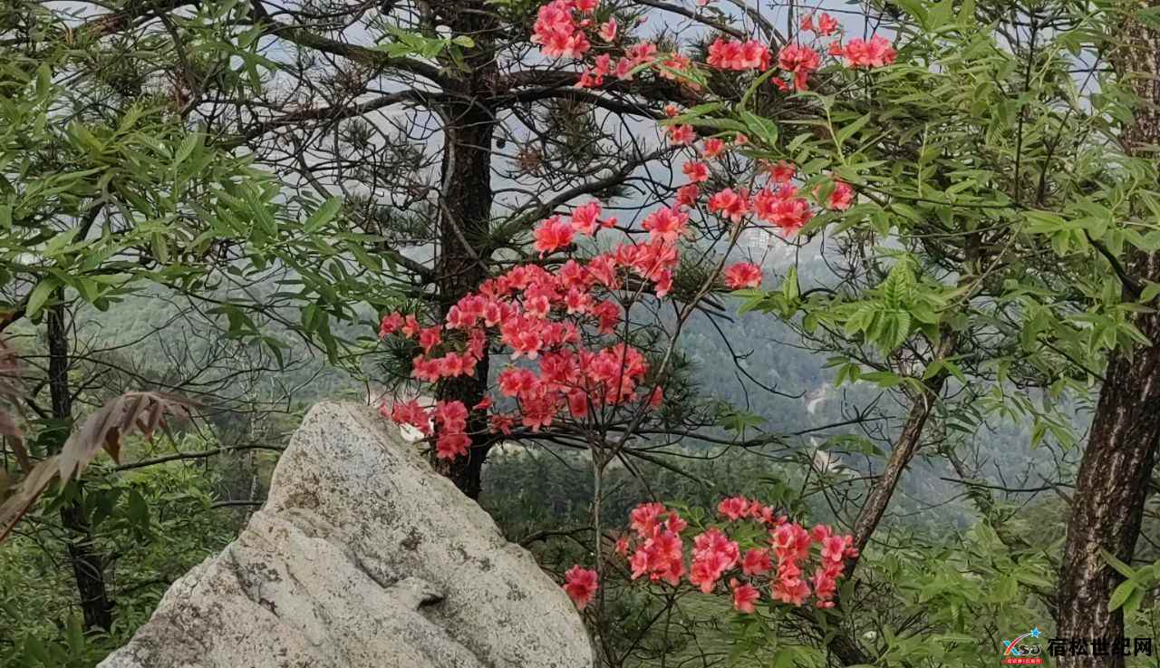 微信图片_20230413100432.jpg