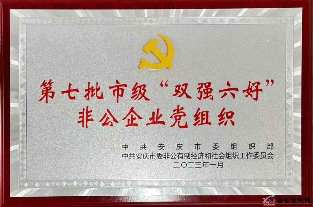 宿松县新世纪论坛公益协会党支部第五批县级“双比双争”先进社会组织党组织。 (2).jpg