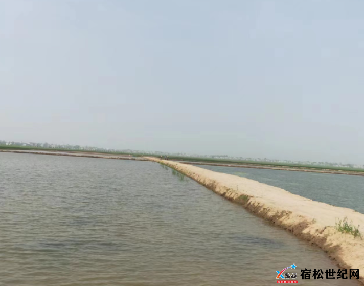 微信图片_20230418091828.png