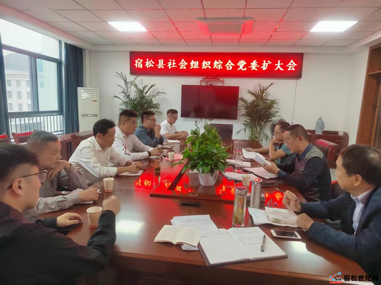 宿松县社会组织综合党委召开党建工作推进会