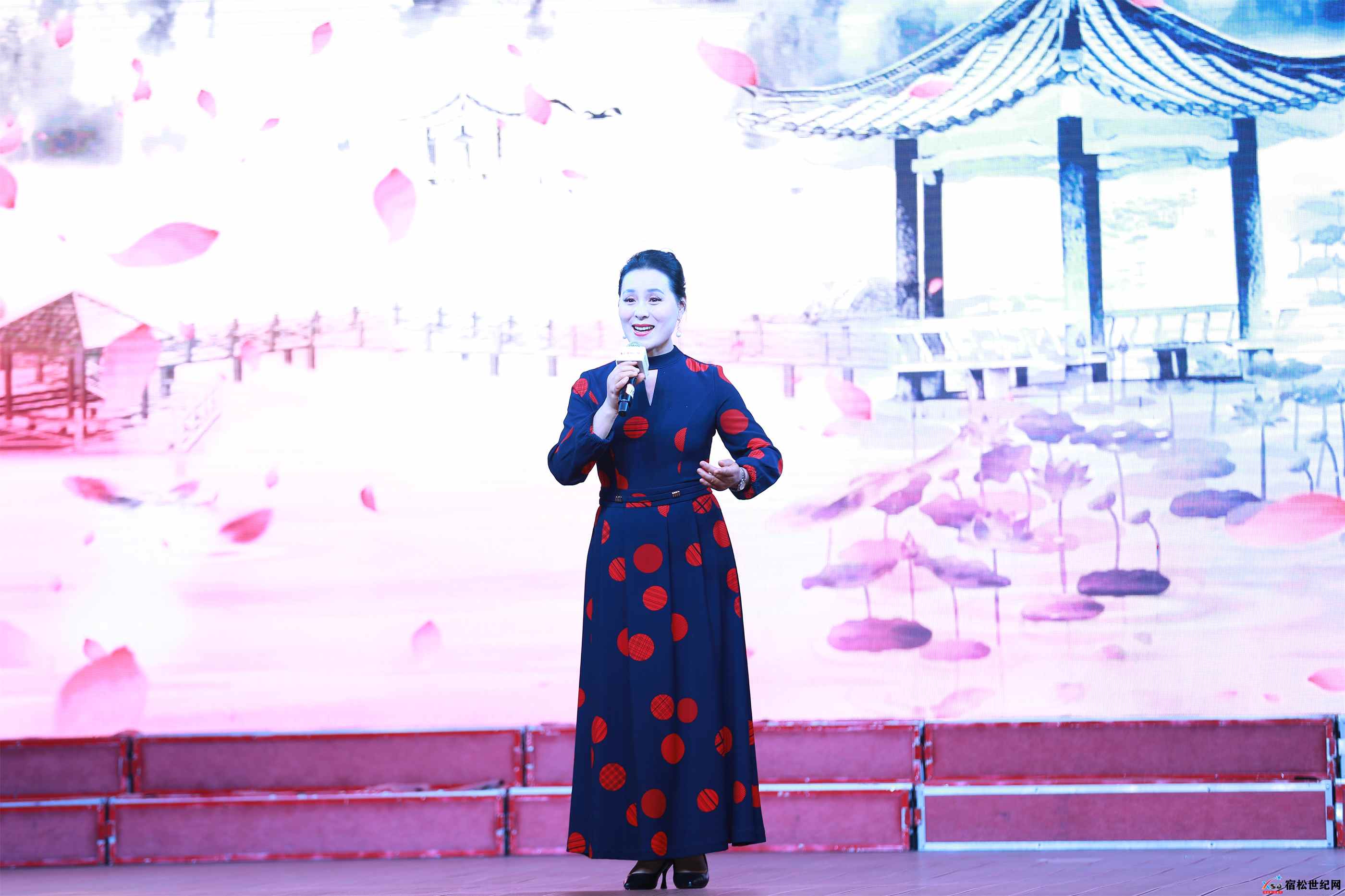 宿松县松韵飞扬艺术团成立四周年17.jpg
