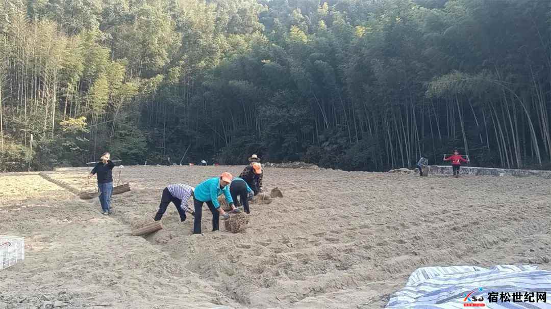 微信图片_20231126152956.jpg