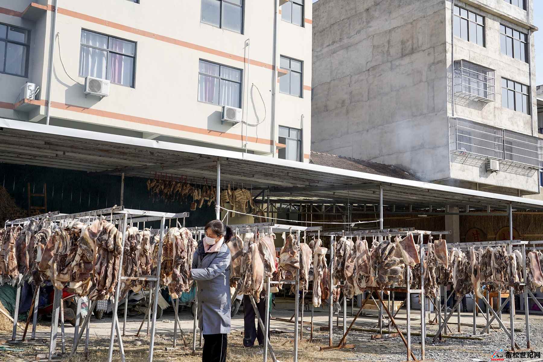 宿松山壳佬 (2).jpg