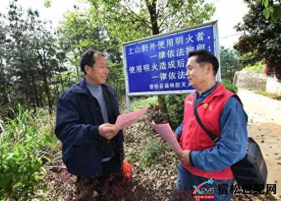 24cb2cbcc90347508498745da5558819~noop.jpg