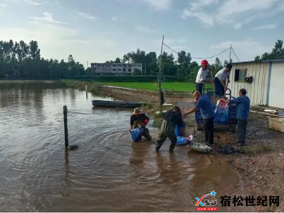 QQ截图20240710093811.png