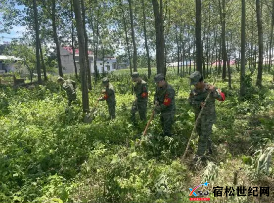 QQ截图20240710093824.png