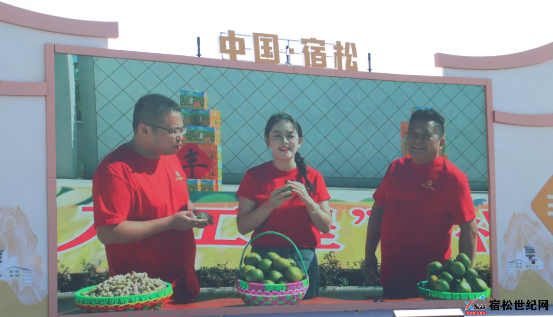 微信图片_20240923000154.png