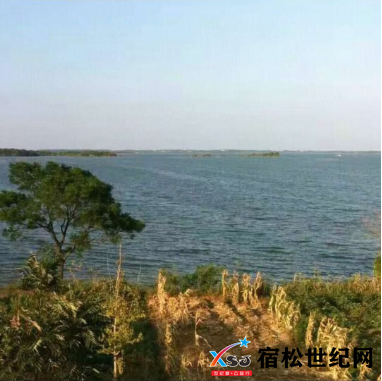 QQ20241204-094131.png