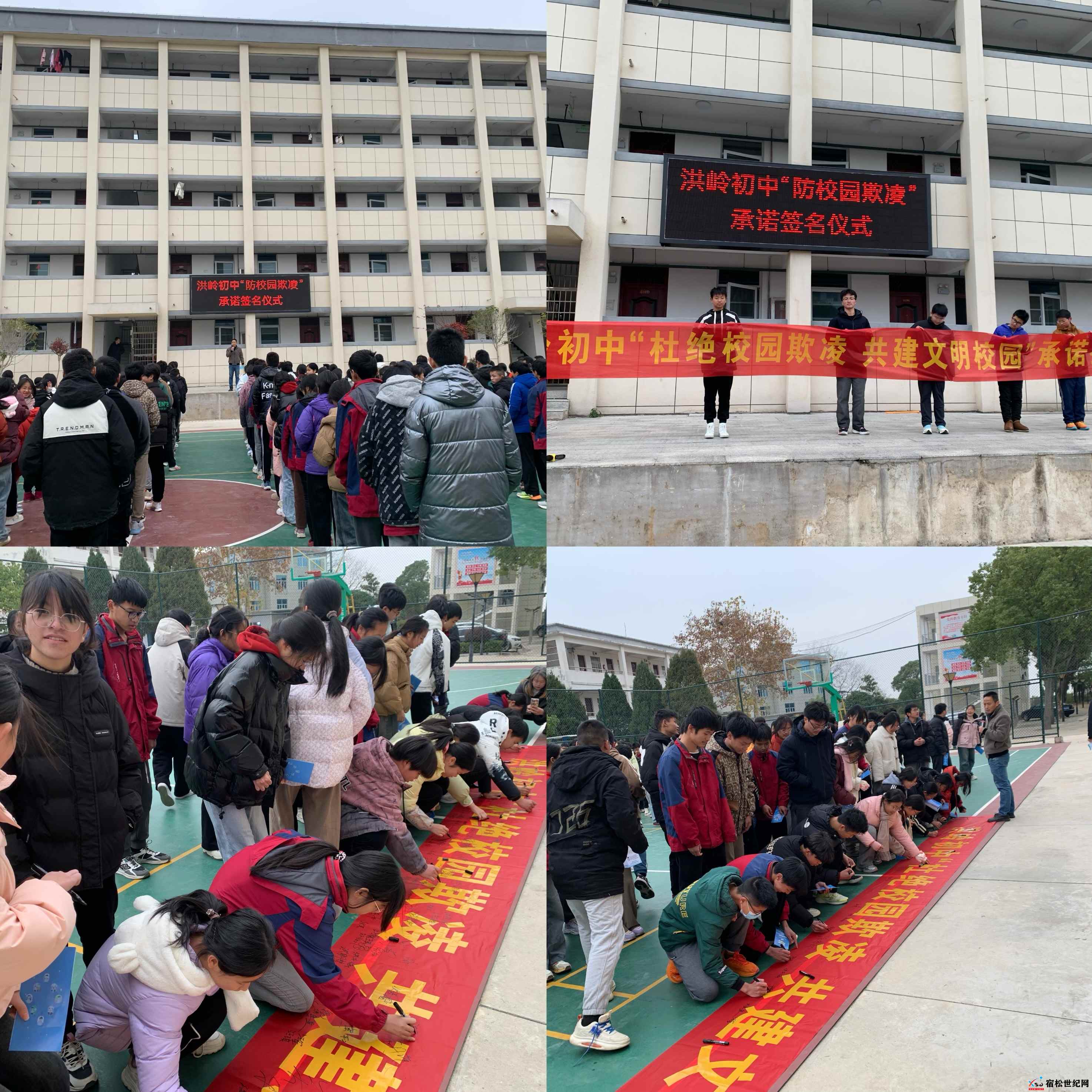 活动图片.jpg
